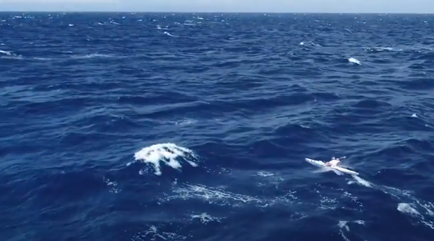 LEGENDS REFLECT ON THE MOLOKAI CHALLENGE