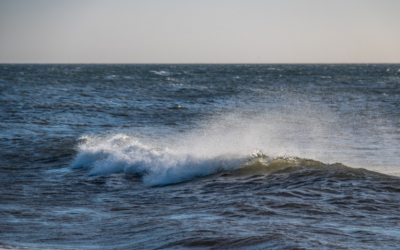 SAFETY IN SPOTLIGHT AFTER PADDLING DEATH IN CAPE TOWN